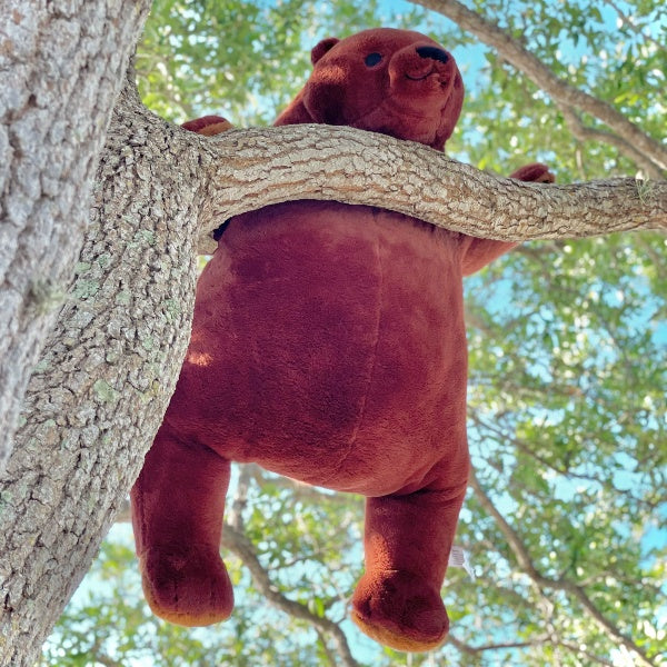 60cm Brown Teddy Bear Djungelskog Plush Toys Soft Stuffed Animal Plush 